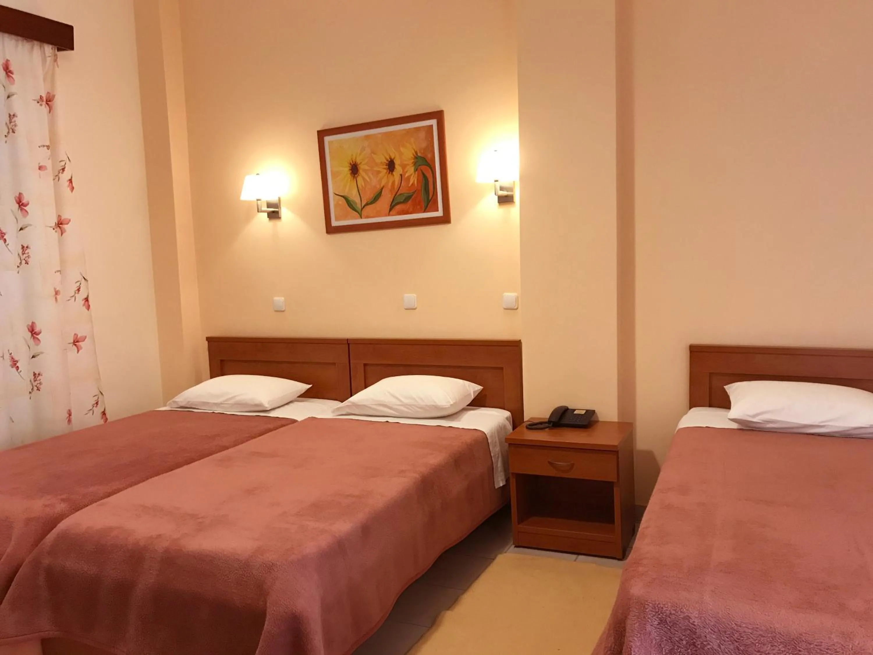 Triple Room in Hotel Kronio