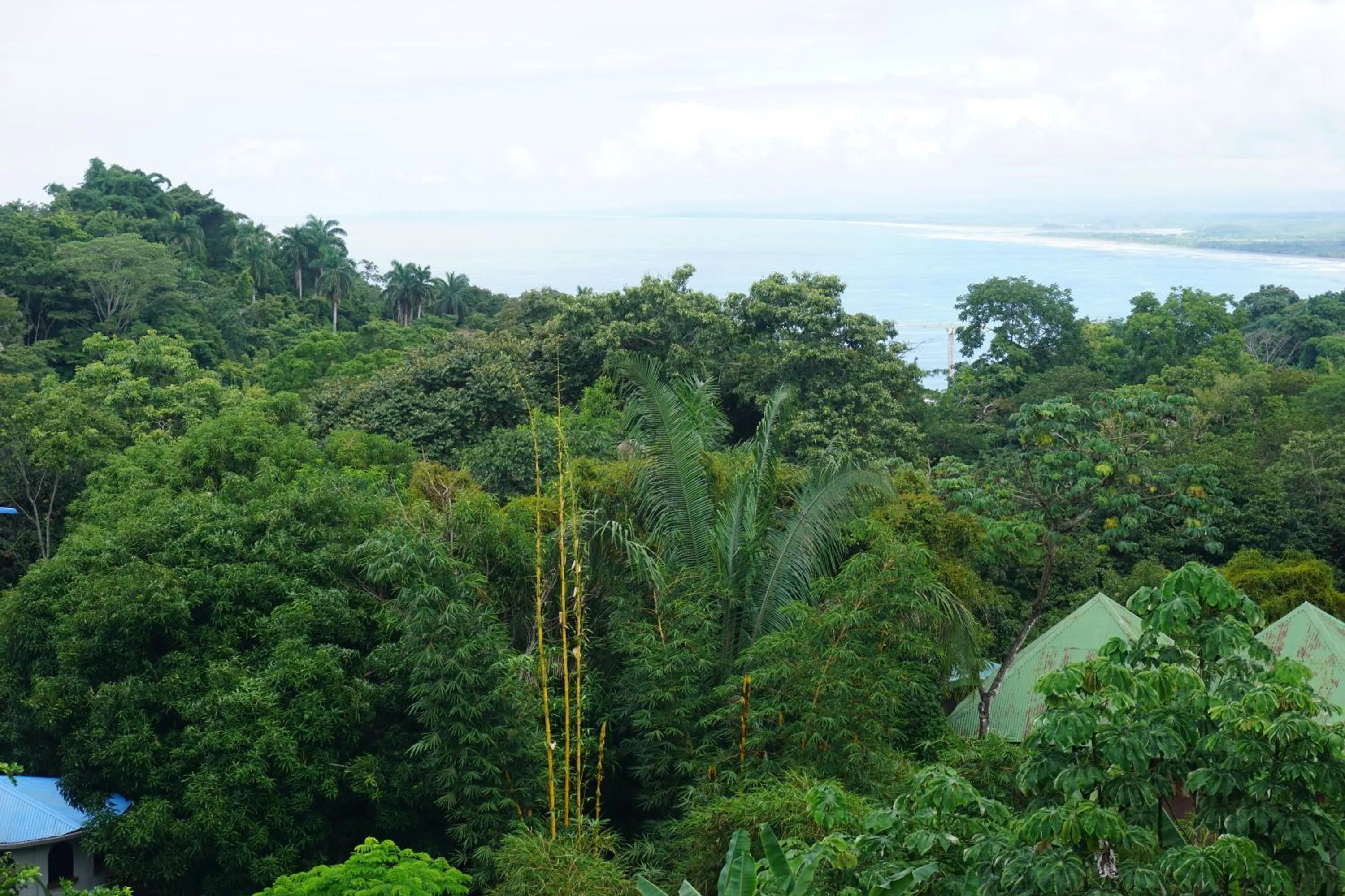 Superior Double Room in Hotel Planeta Sano