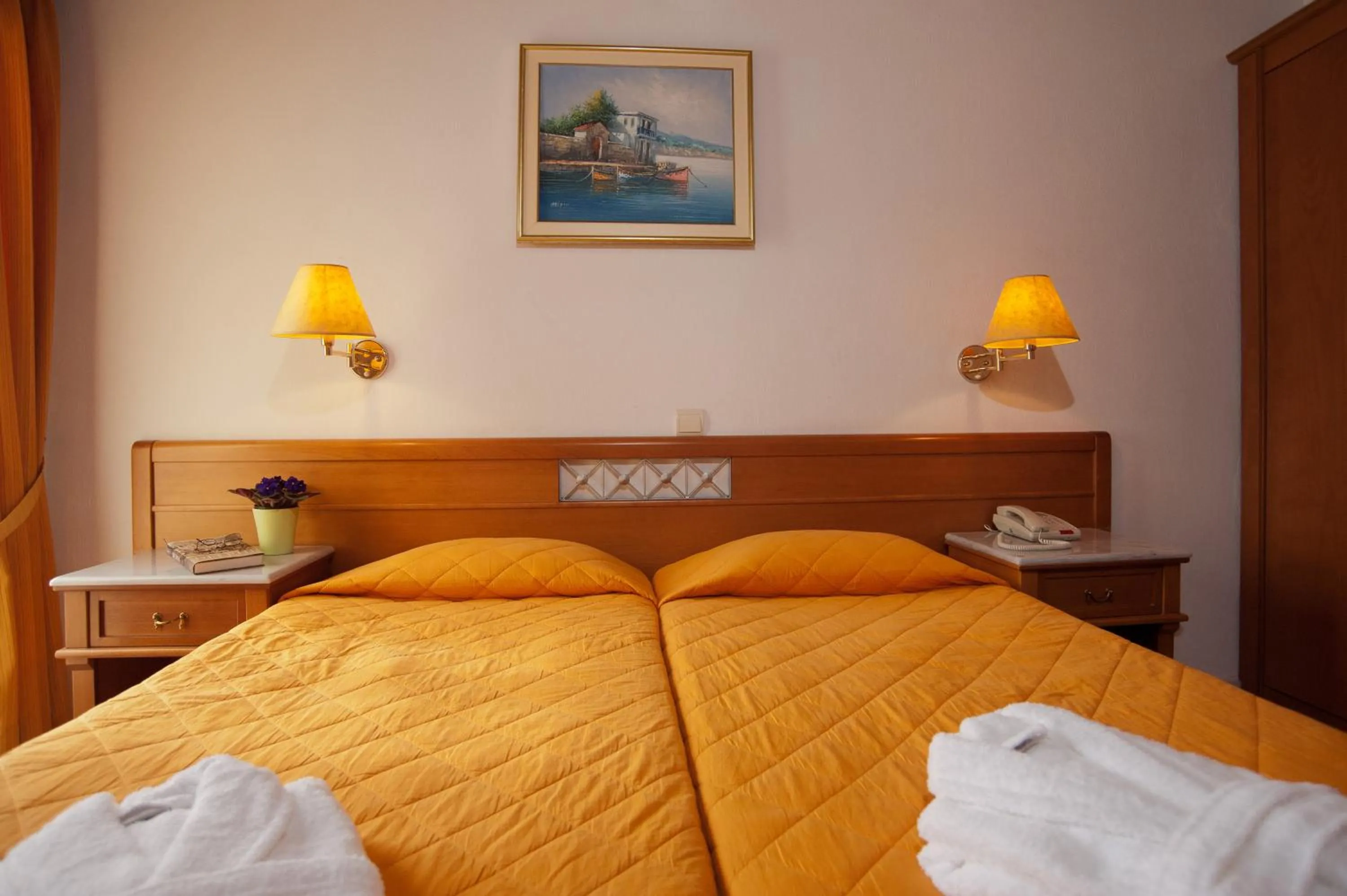 Single Room in Acropole Delphi City Hotel