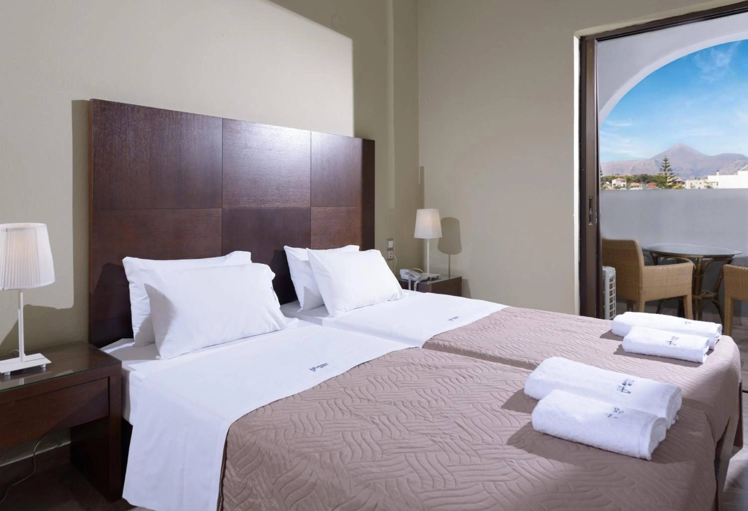 Single Room in Vanisko Hotel