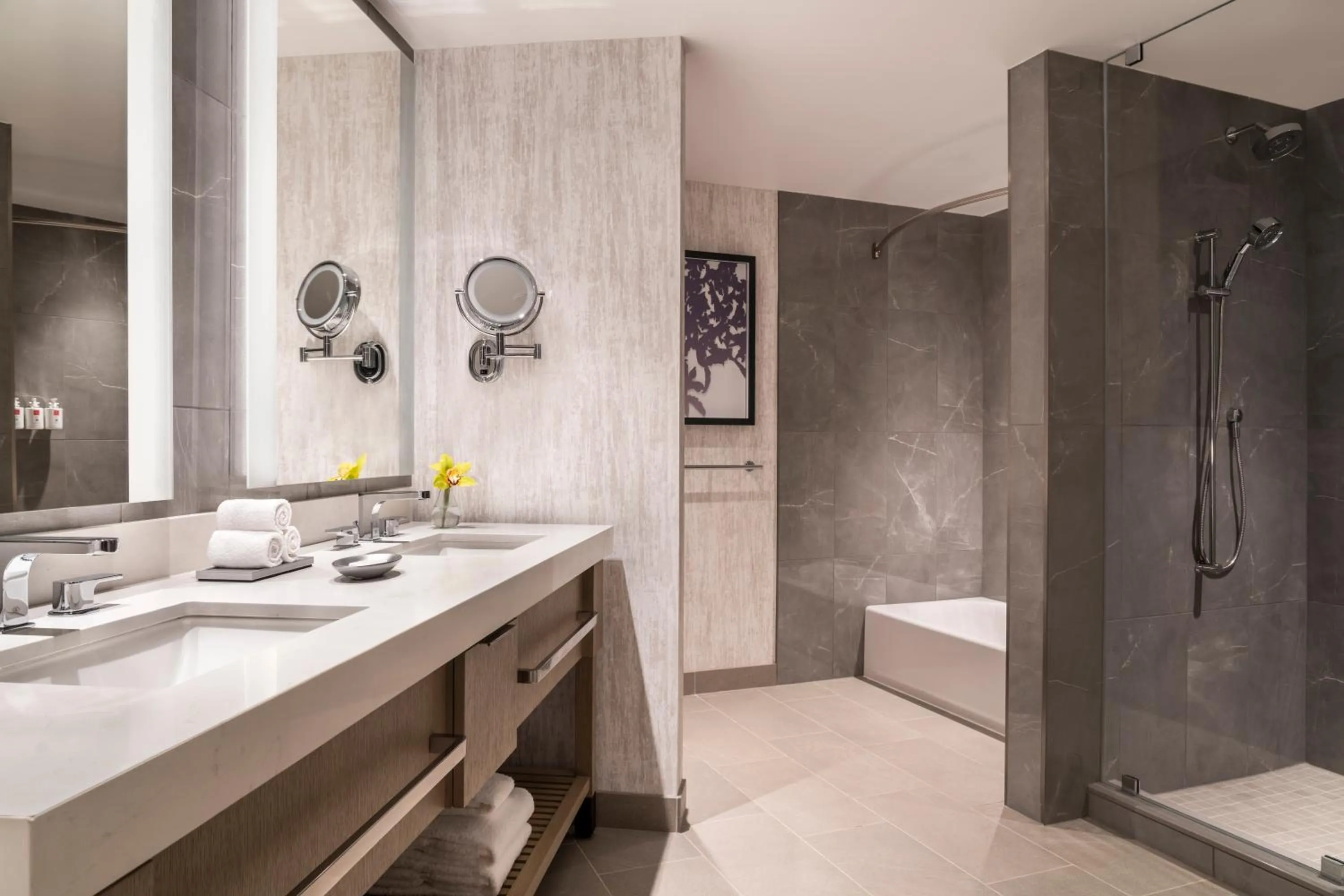 Luxury Suite 2 Queens Hearing Accessible in Loews Arlington Hotel