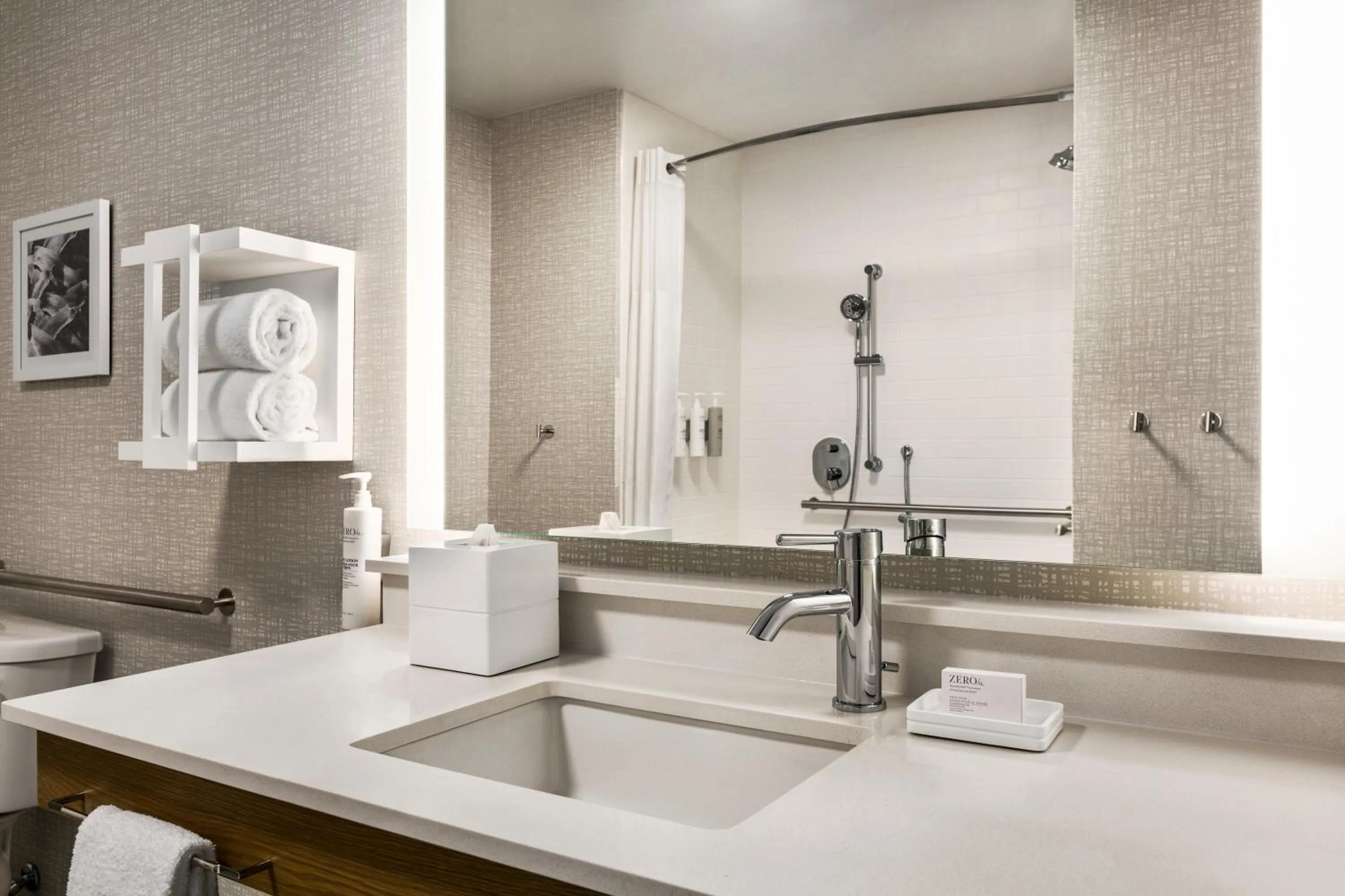 King Studio with Roll-In Shower - single occupancy - Disability Access in Hampton Inn & Suites San Mateo-San Francisco Airport