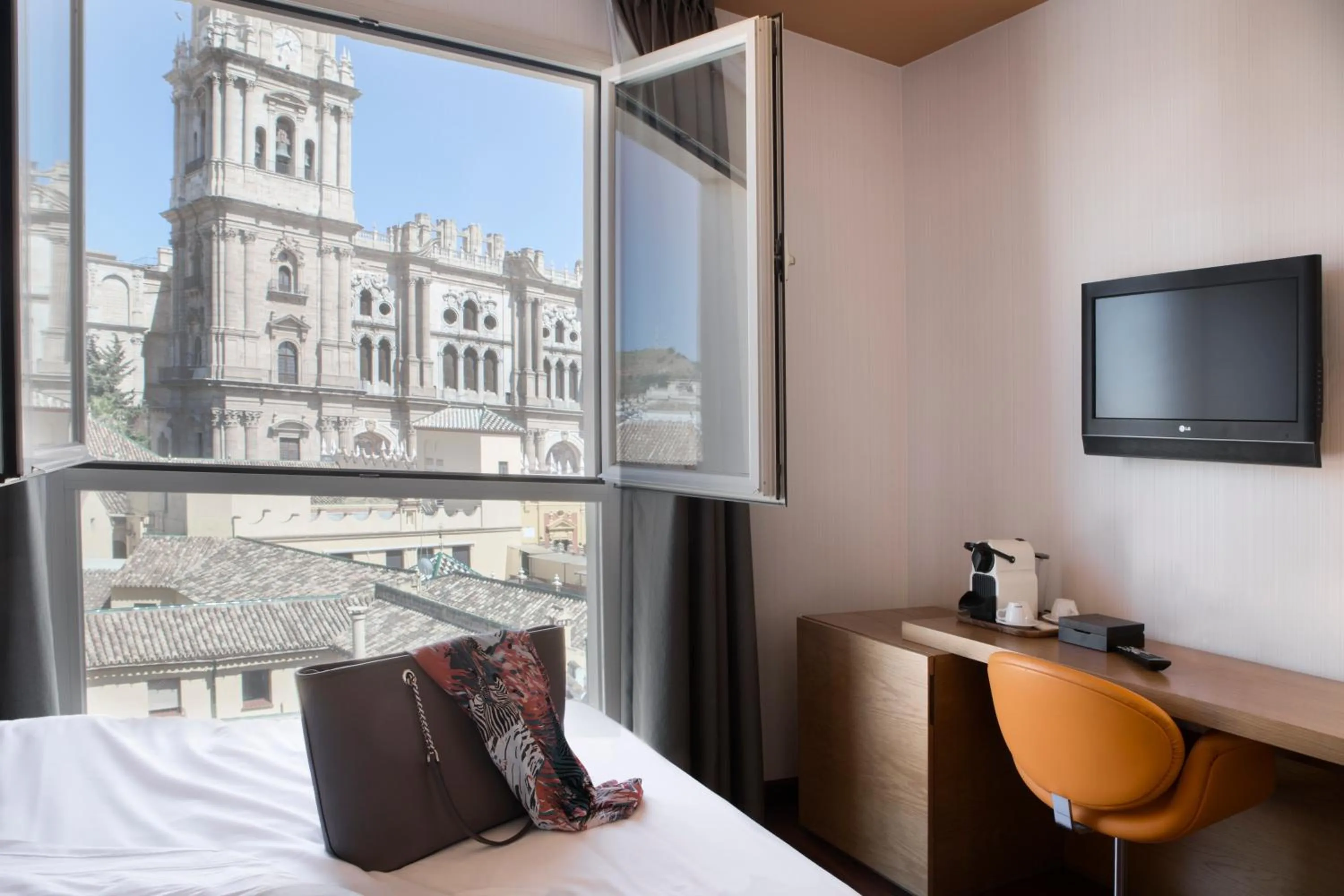 Double Room - Cathedral View in Petit Palace Plaza Málaga