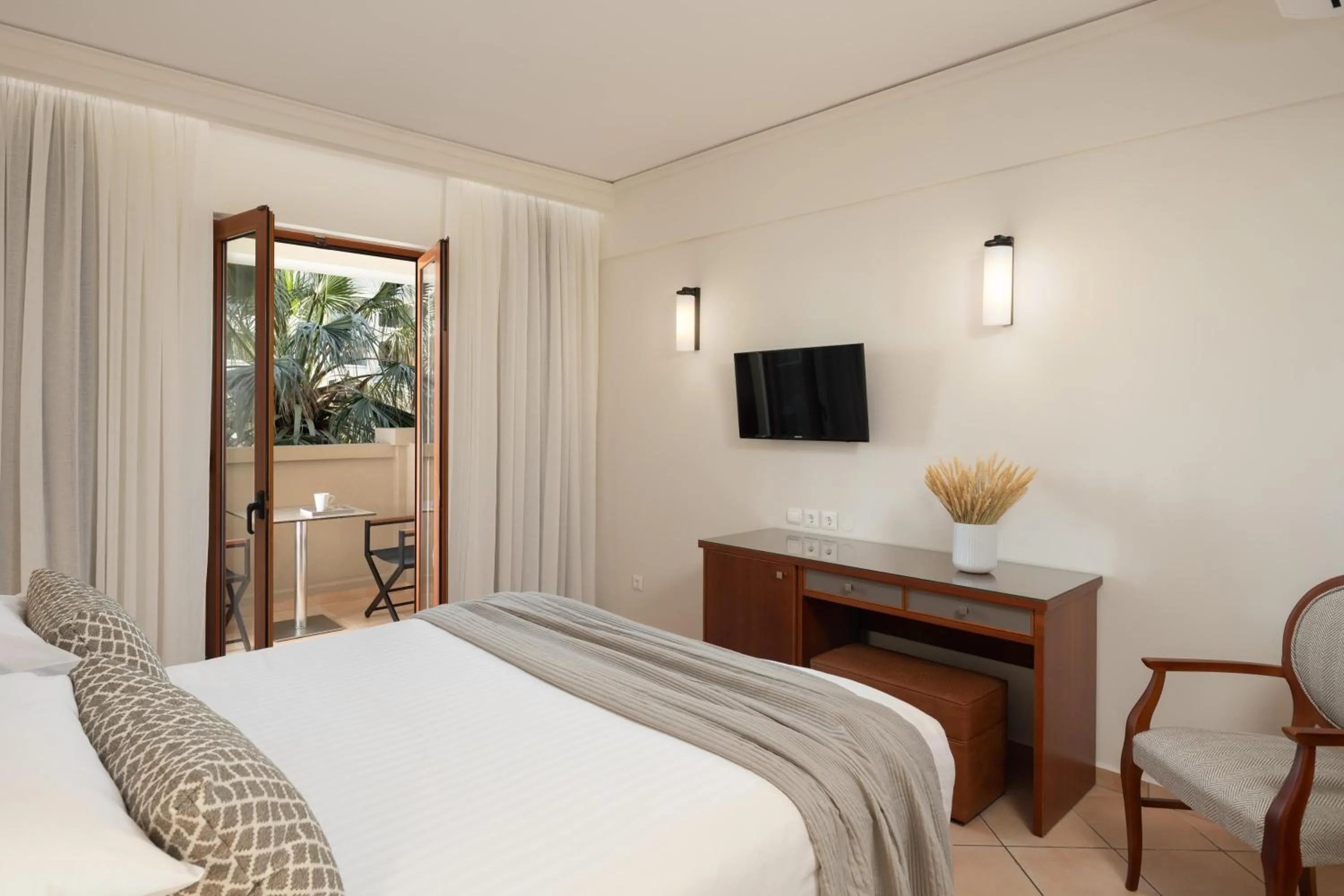 Standard  Room - single occupancy in Theartemis Palace