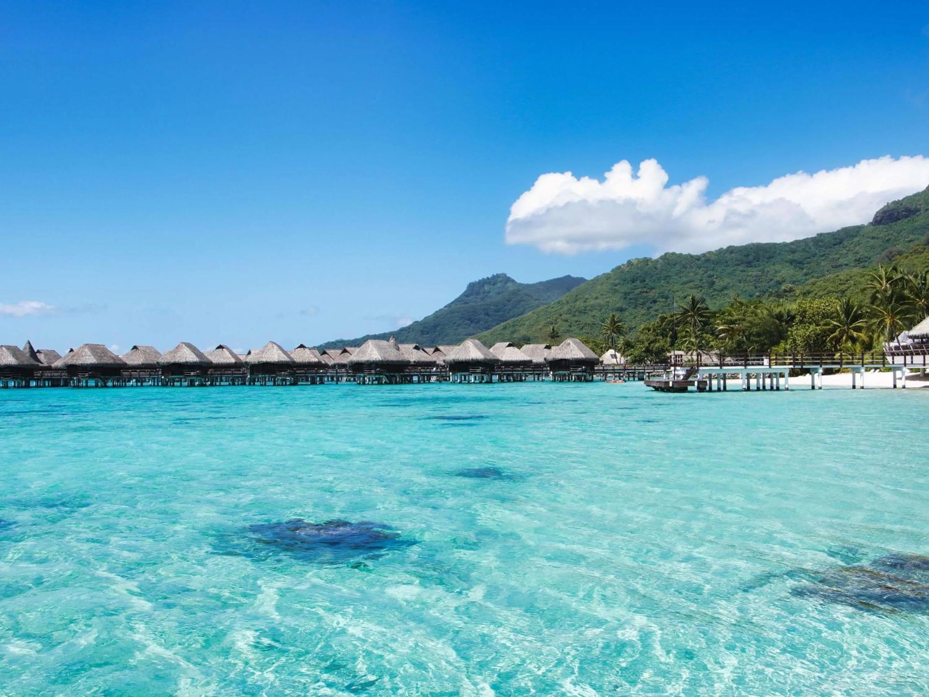 Superior Overwater Bungalow 1 King Bed - single occupancy in Sofitel Kia Ora Moorea Beach Resort