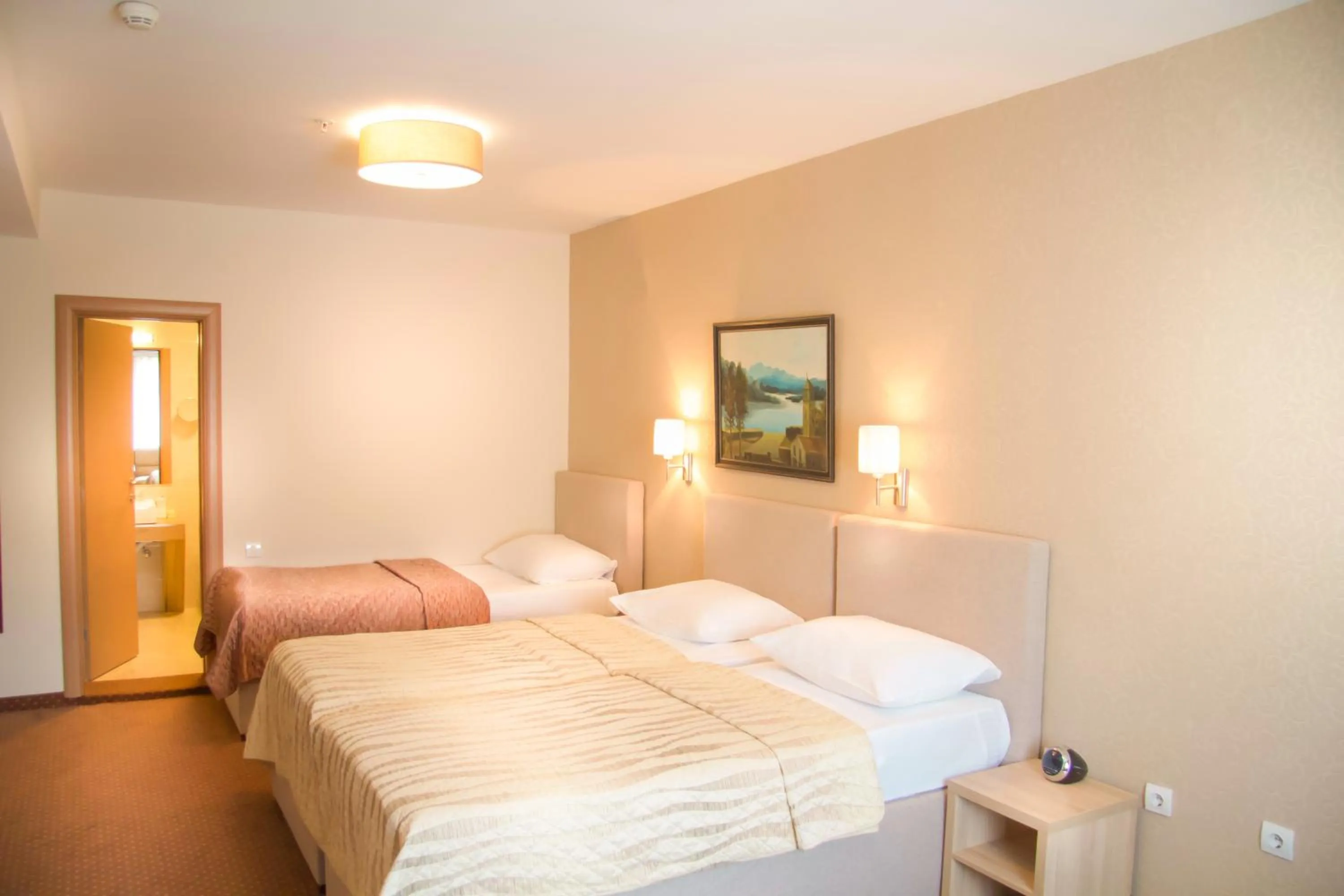 Basic Triple Room - single occupancy in Philia Hotel