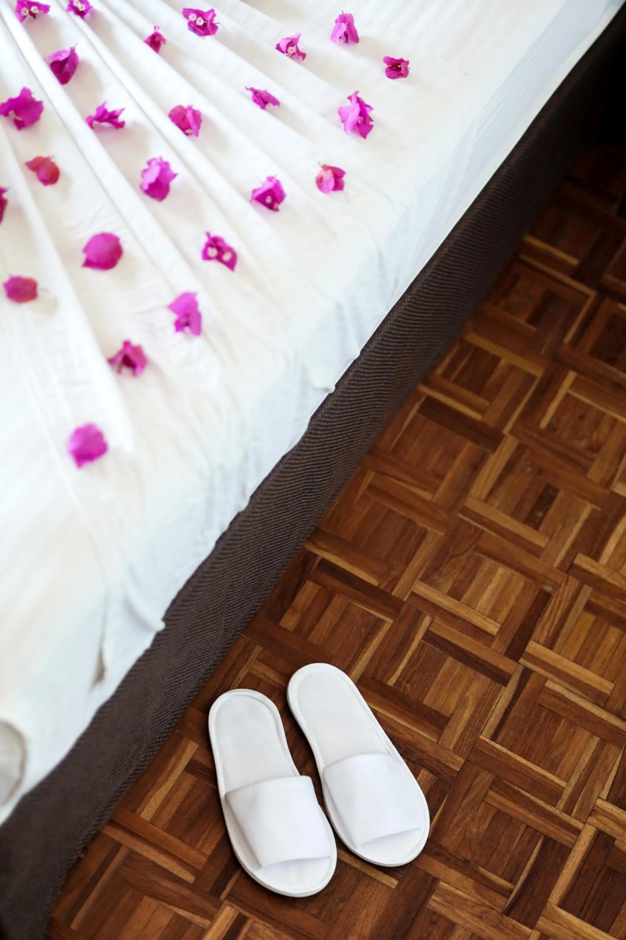 Suite with Sea View - single occupancy in Peacock Beach Resort and Spa