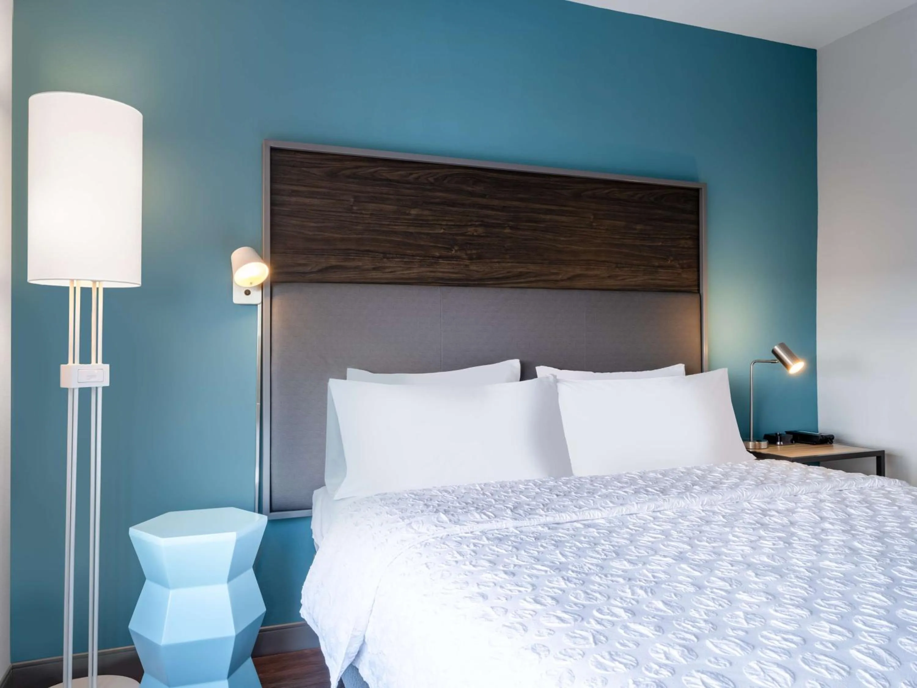 King Room - Hearing Access in Tru By Hilton Chesapeake- Greenbrier