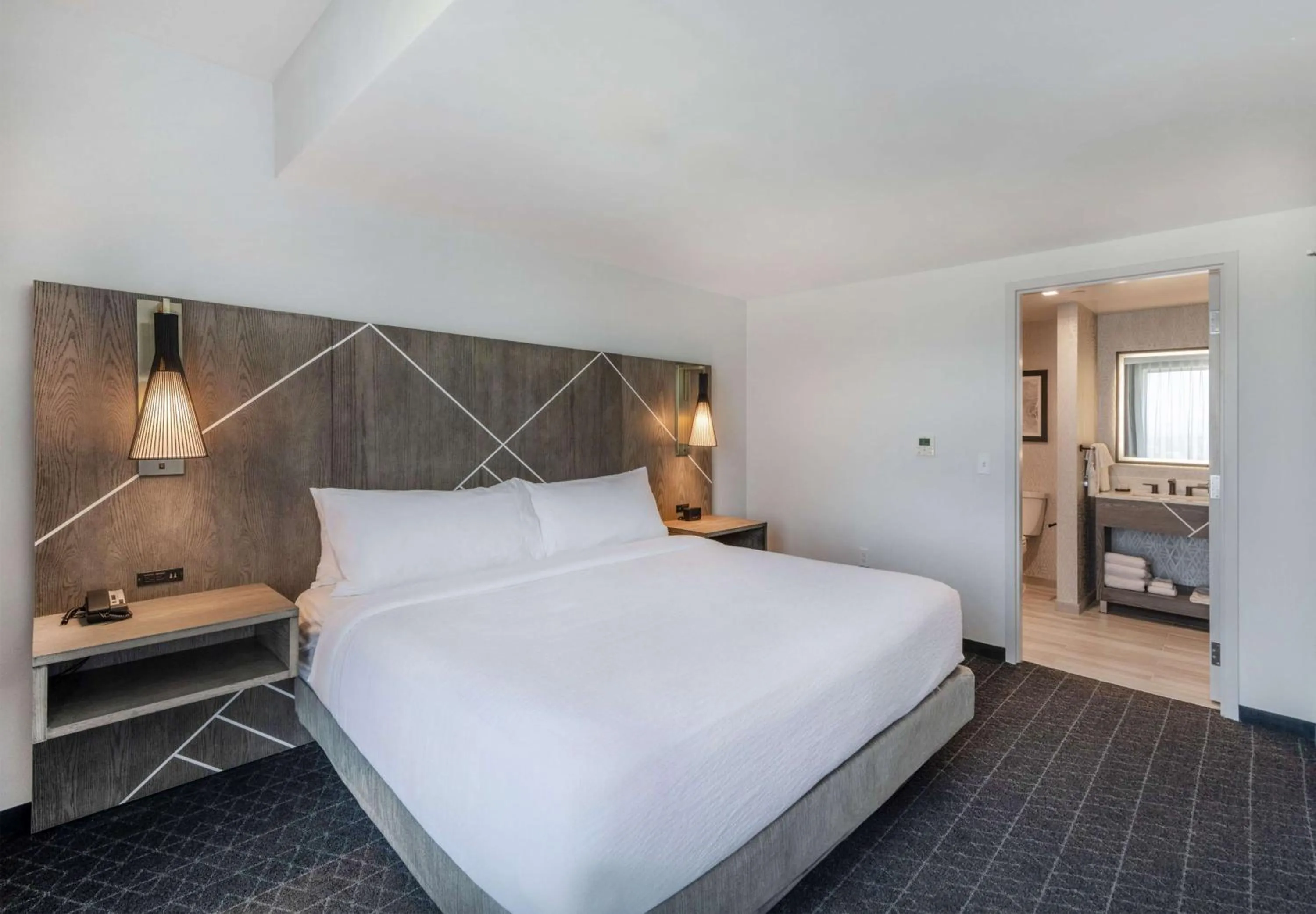 One-Bedroom King Suite with Mountain View in Embassy Suites By Hilton Asheville Downtown