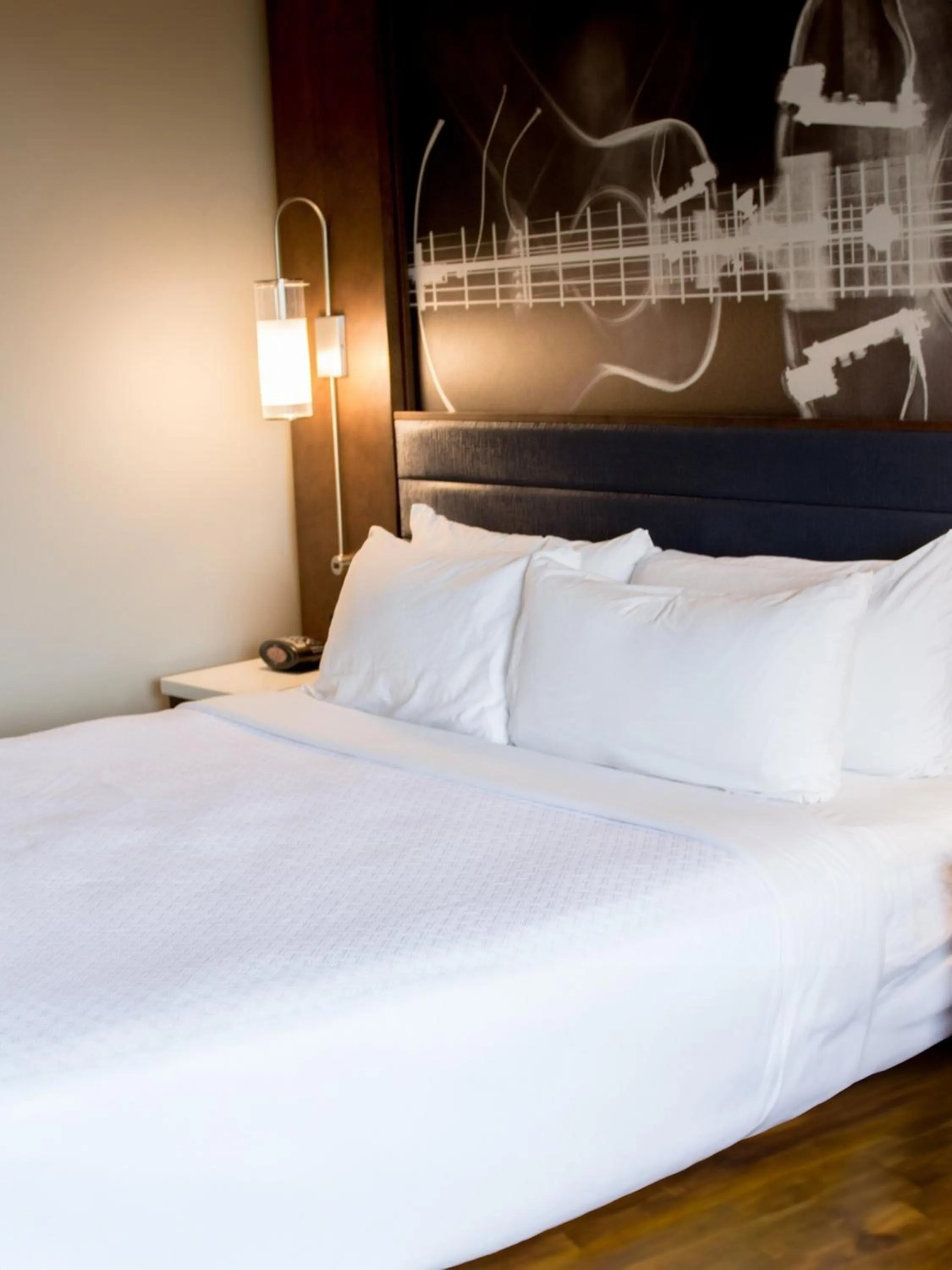 King Room - Disability Access in Memphis Vitality Hotel